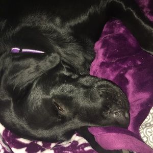 Meet your Posher, Tori